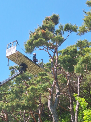 시공 중 2
